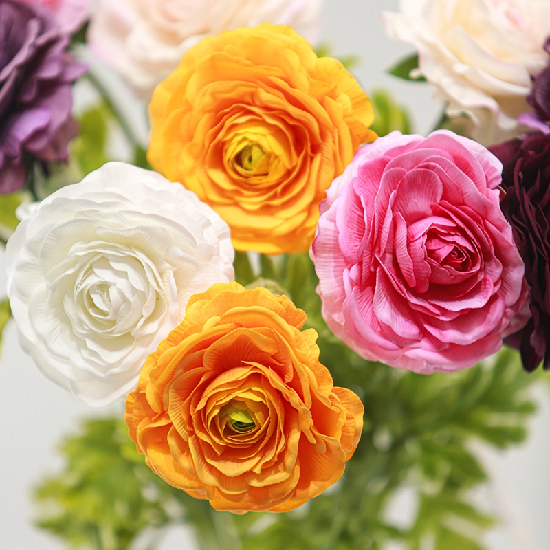 Real touch Ranunculus