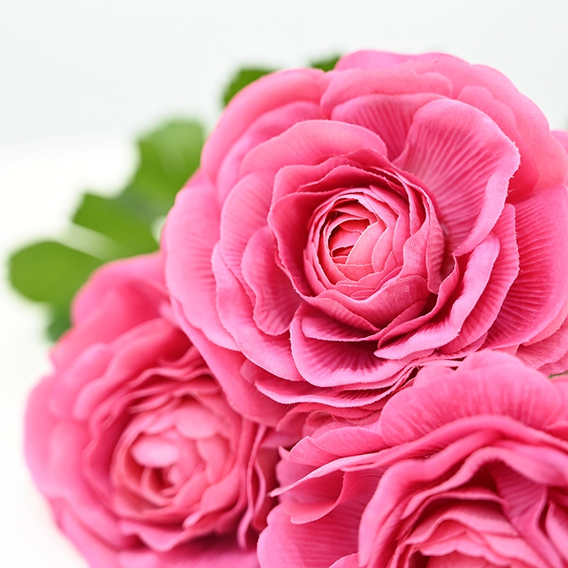 Real touch Ranunculus