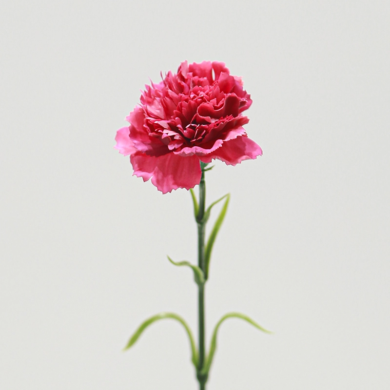Real Touch Carnations