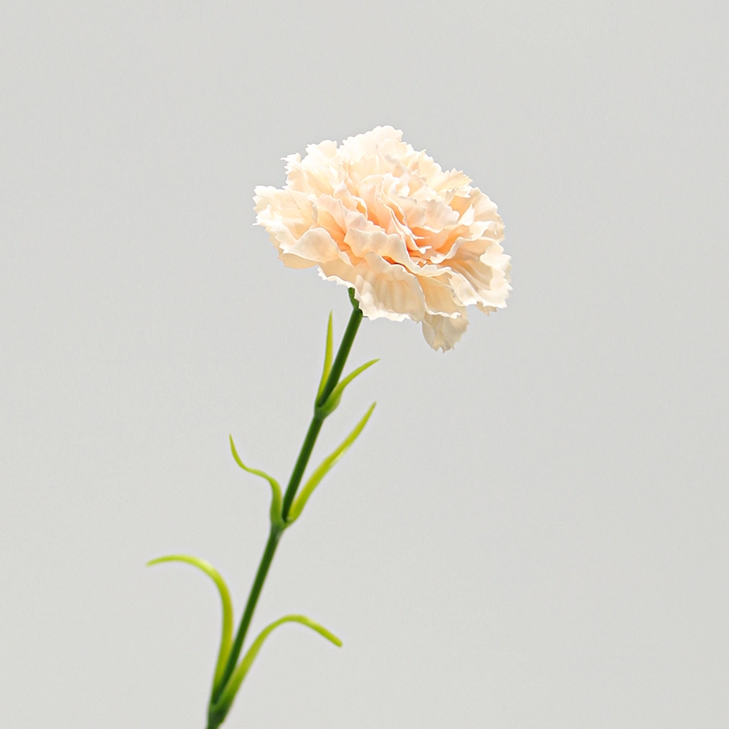 Real Touch Carnations Real Touch Carnations