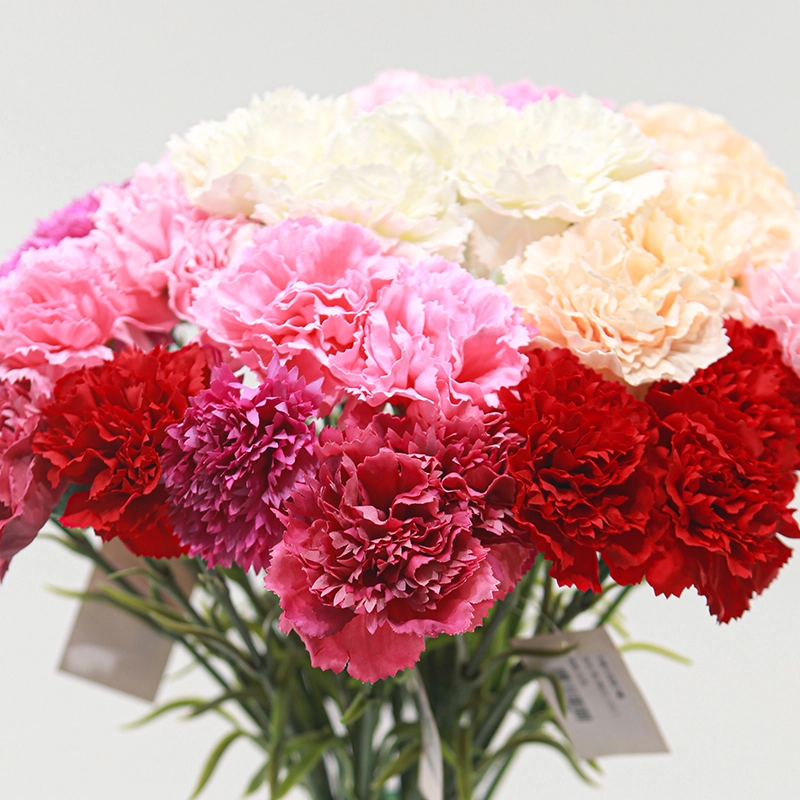 Real Touch Carnations