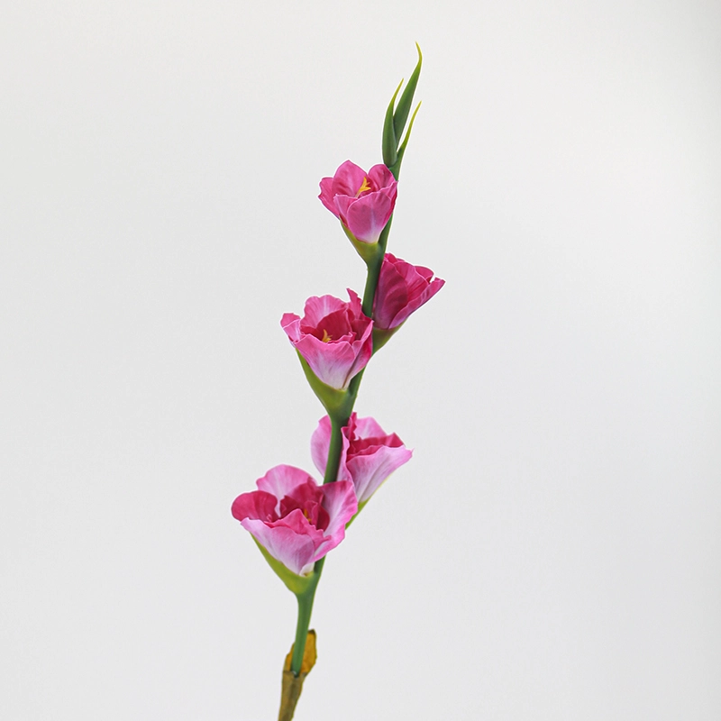 Real Touch Gladiolus Real Touch Gladiolus