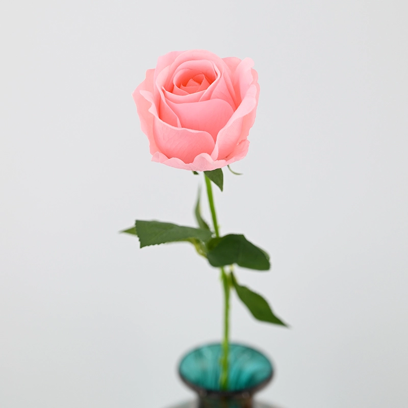 Real Touch Beauty Rose