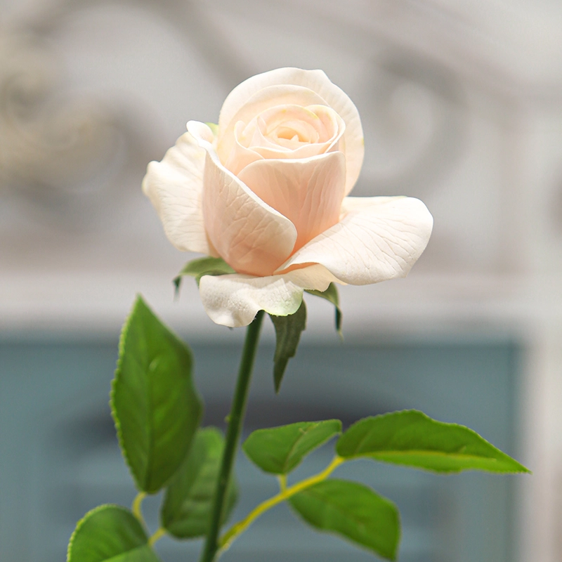 Real Touch English Rose Real Touch English Rose