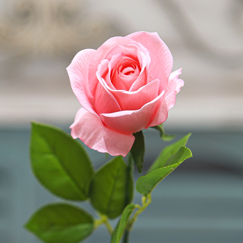 Real Touch English Rose