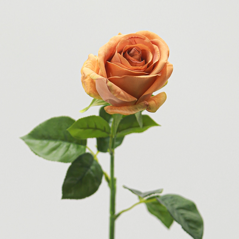 Real Touch Venus Rose Real Touch Venus Rose