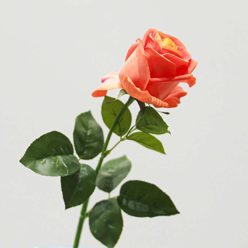 Real Touch Venus Rose