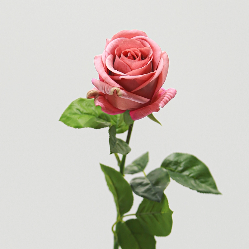Real Touch Venus Rose