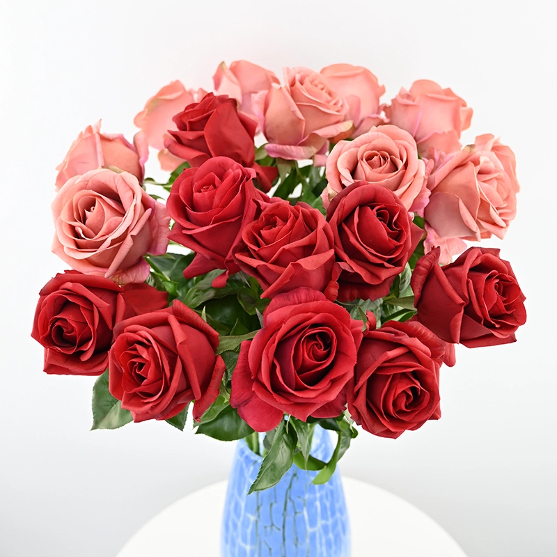 Real Touch Venus Rose Real Touch Venus Rose