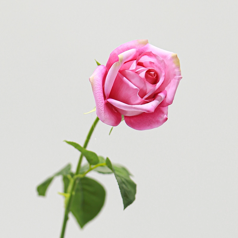 Real Touch Gemini Rose