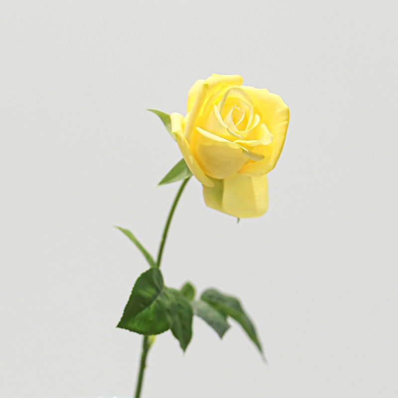 Real Touch Gemini Rose Real Touch Gemini Rose