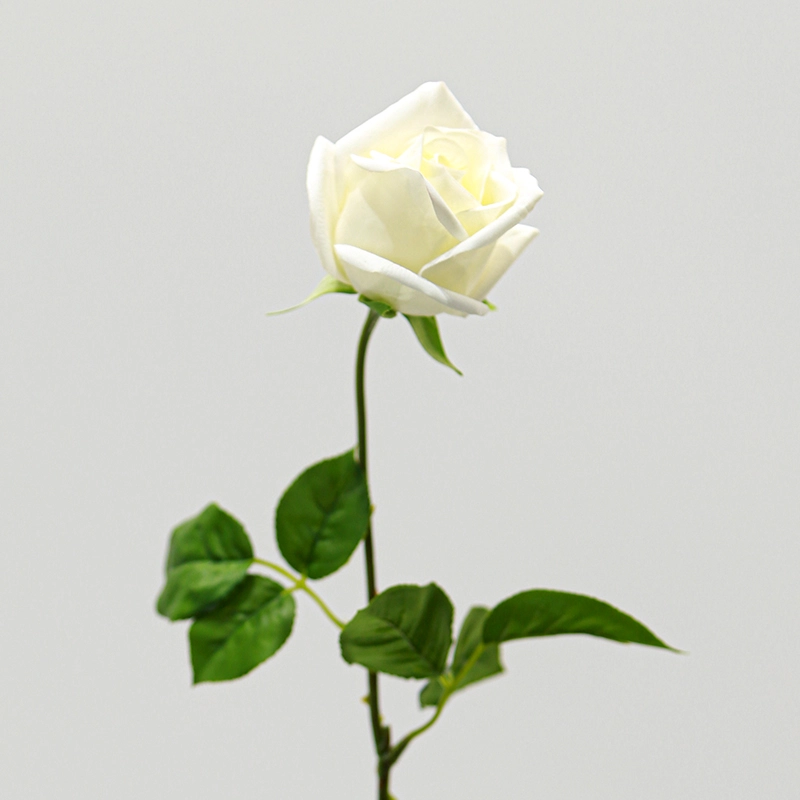 Real Touch Gemini Rose