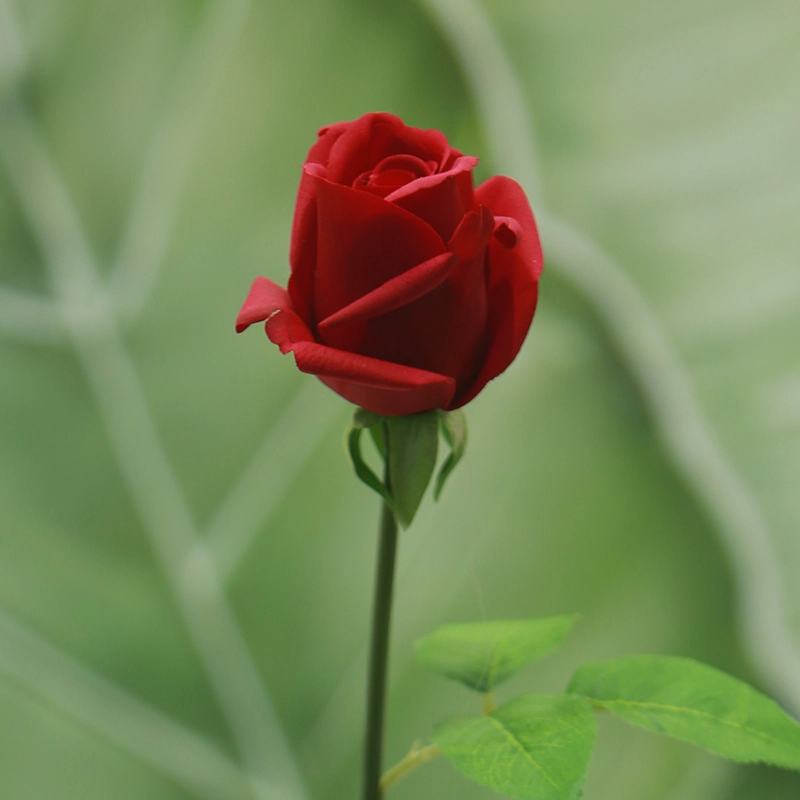 Real Touch Kate Roses Real Touch Kate Roses