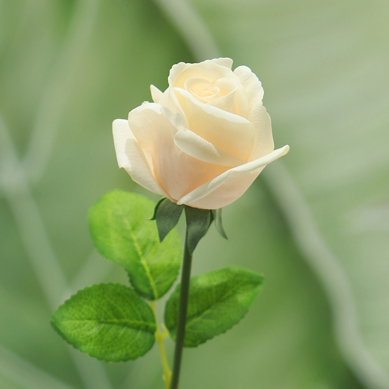 Real Touch Kate Roses Real Touch Kate Roses