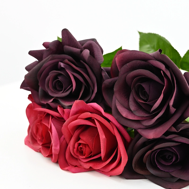 Real touch Carola Rose Real touch Carola Rose