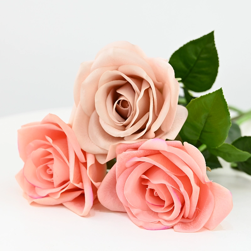 Real touch Carola Rose Real touch Carola Rose