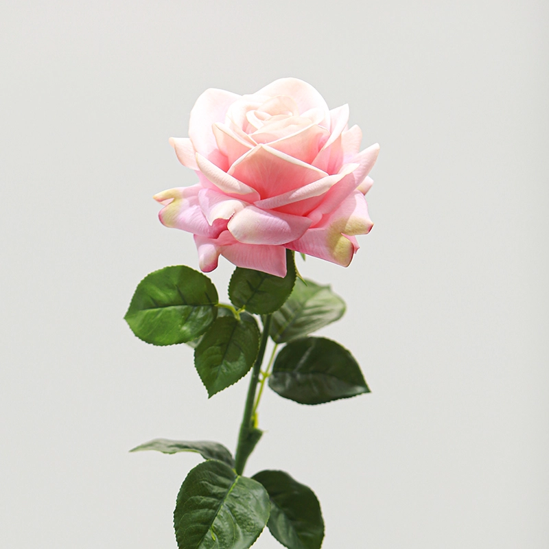 Real touch Ocean Song Rose Real touch Ocean Song Rose