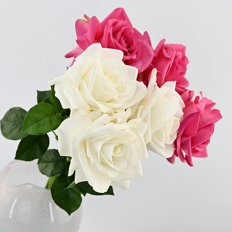 Real touch Ocean Song Rose Real touch Ocean Song Rose
