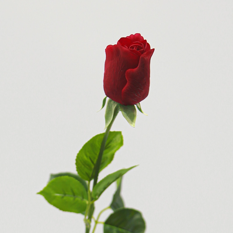 Real Touch Versailles Rose Real Touch Versailles Rose
