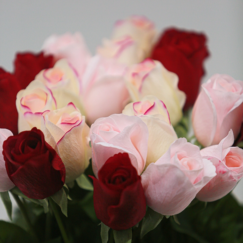 Real Touch Versailles Rose Real Touch Versailles Rose