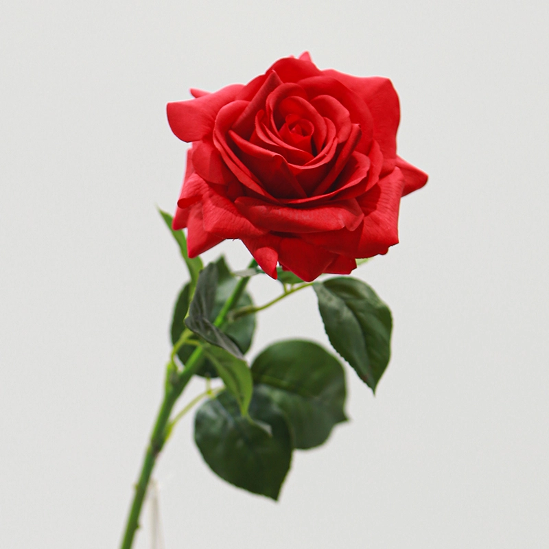 Real Touch Grand Rose