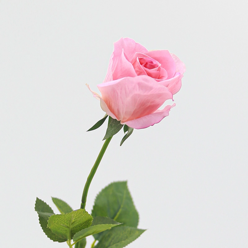 Real Touch Diana Rose Real Touch Diana Rose