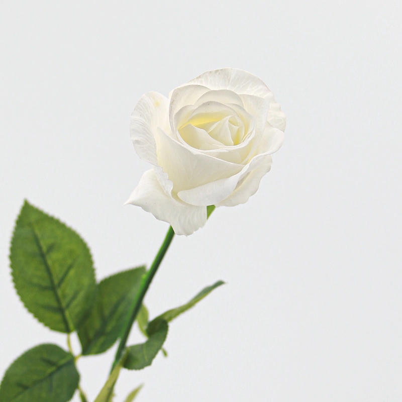 Real Touch Diana Rose Real Touch Diana Rose
