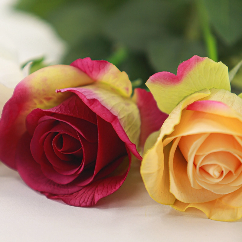 Real Touch Diana Rose Real Touch Diana Rose