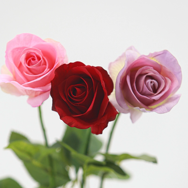 Real Touch Diana Rose