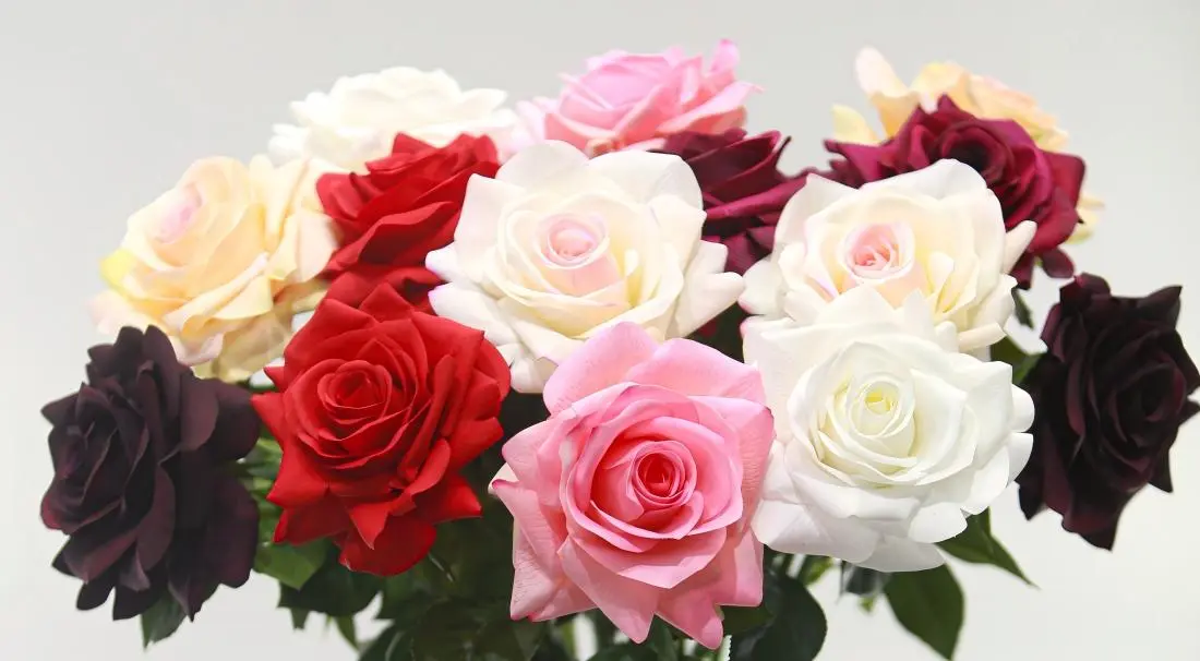 Real Touch Grand Rose Real Touch Grand Rose