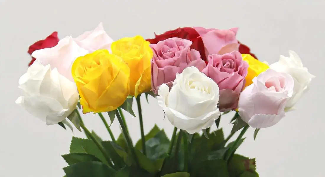 Real Touch Bulgarian Rose Real Touch Bulgarian Rose