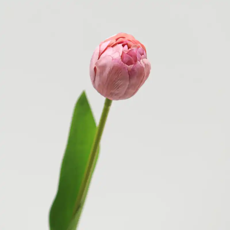 Real Touch Camellia Tulip Real Touch Camellia Tulip
