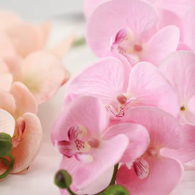 Real Touch Artificial Moth Orchid Real Touch Artificial Moth Orchid