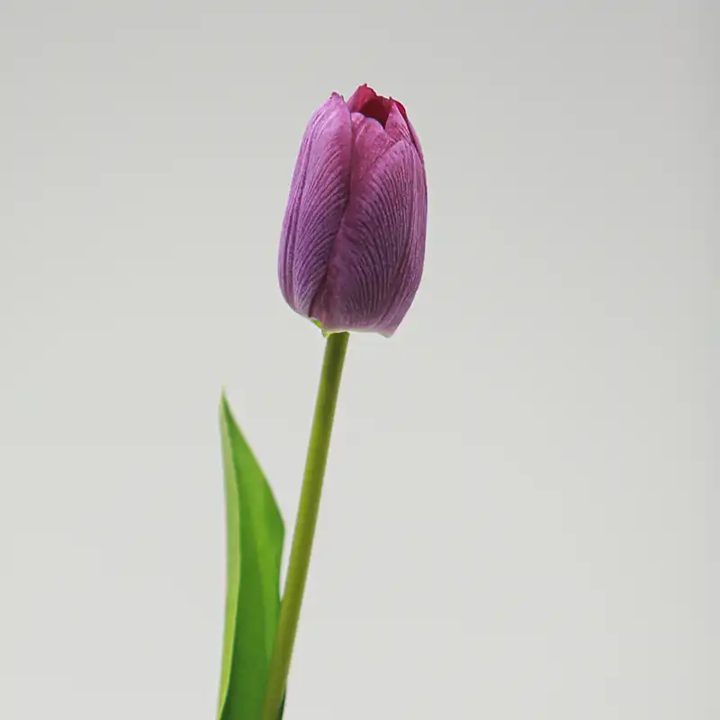 real touch mini tulip real touch mini tulip