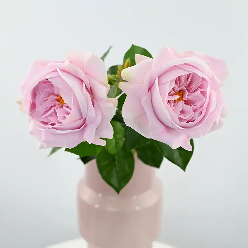 Real Touch Juliet Rose