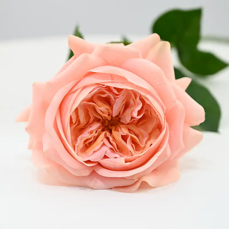 Real Touch Juliet Rose