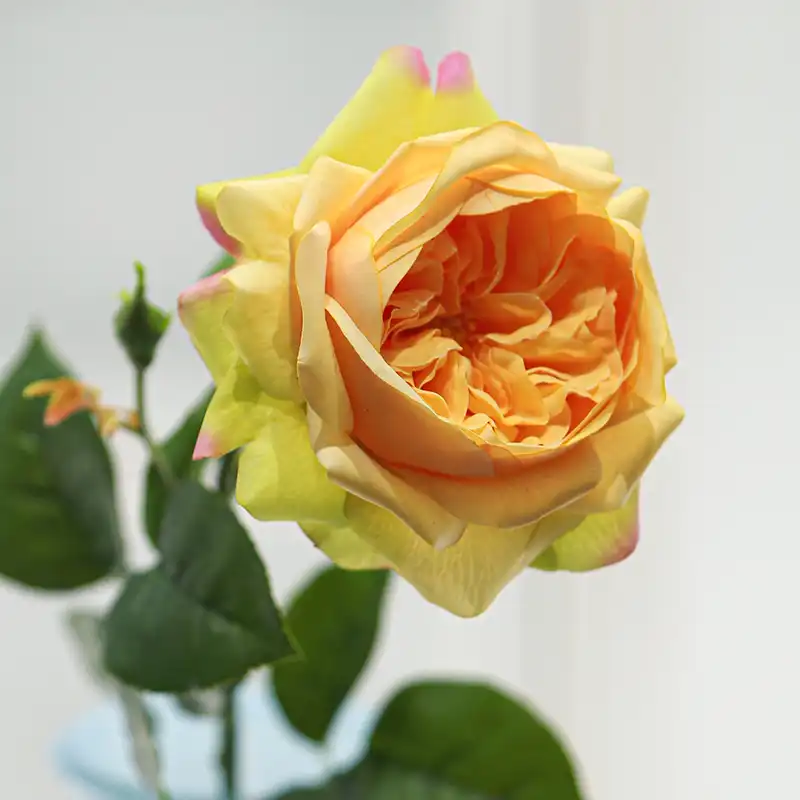 Real Touch Juliet Rose