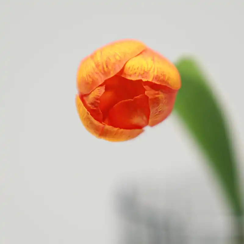 real touch mini tulip real touch mini tulip
