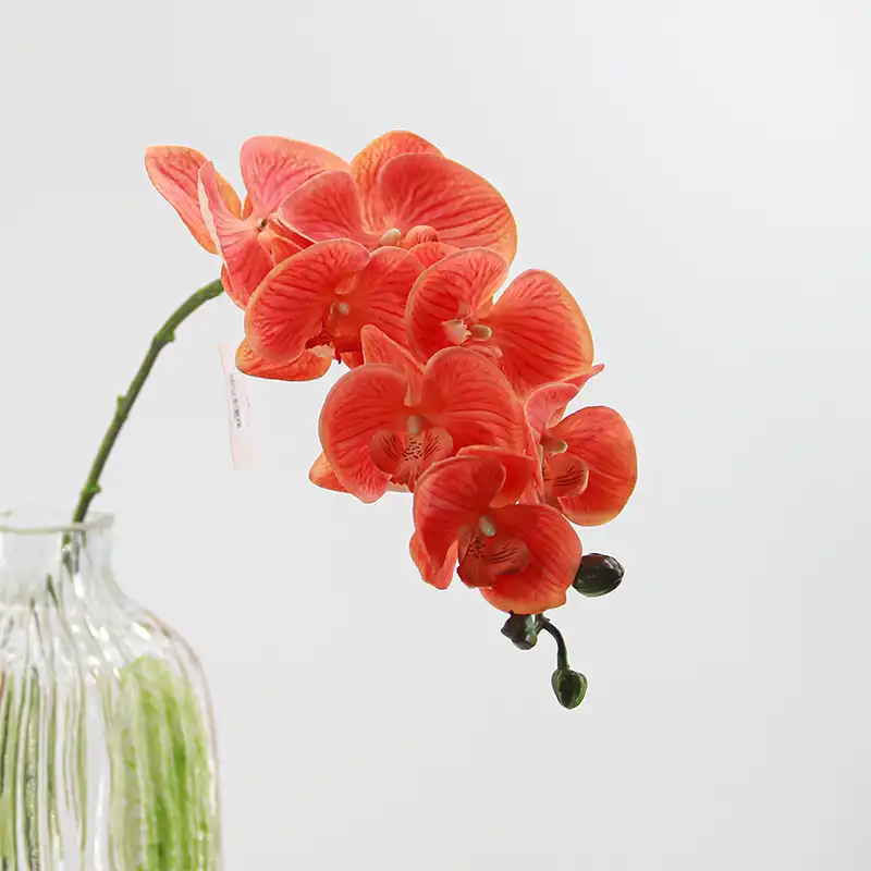 Real Touch Artificial Moth Orchid Real Touch Artificial Moth Orchid