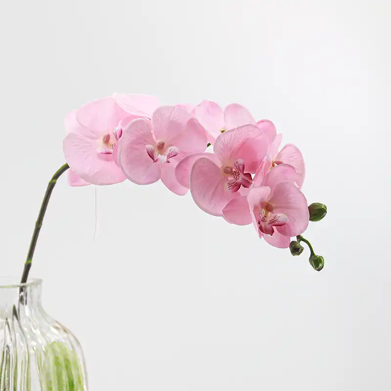 Real Touch Artificial Moth Orchid Real Touch Artificial Moth Orchid