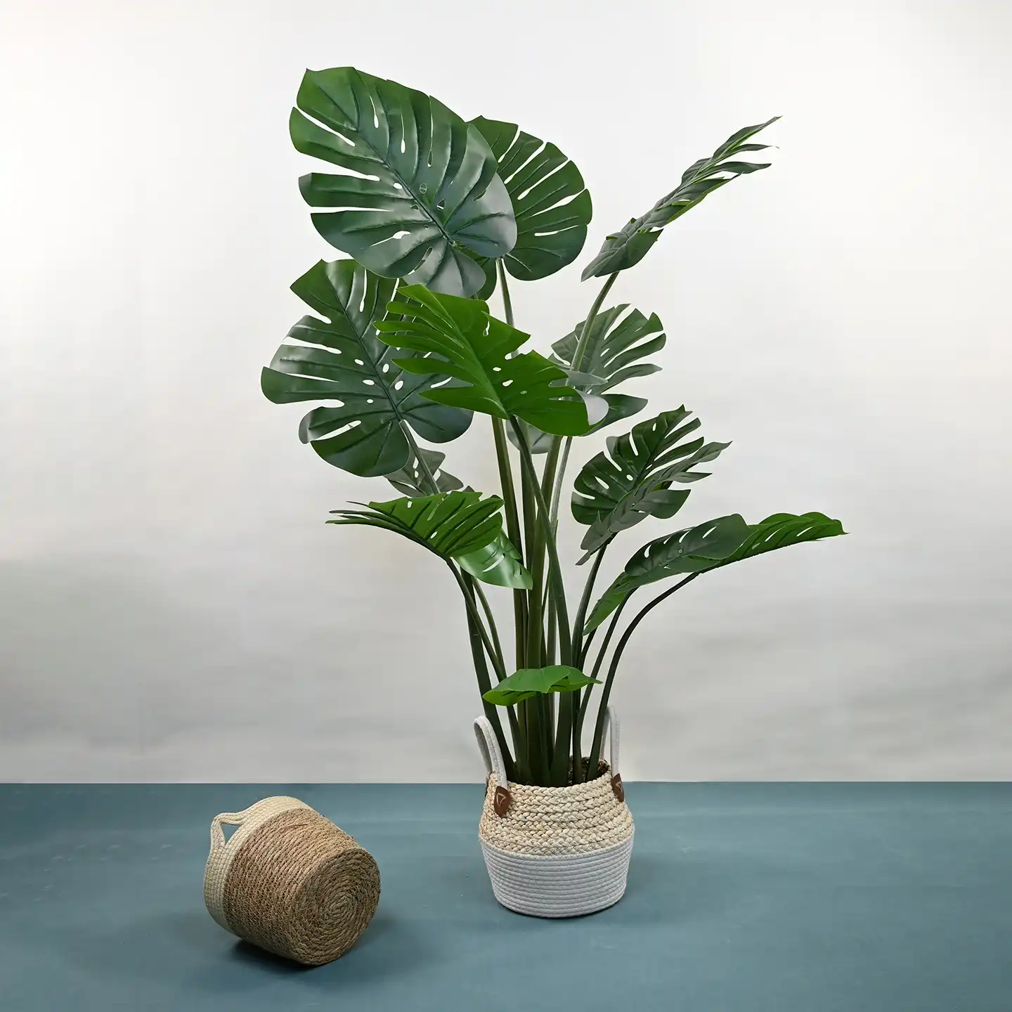 Artificial Turtle Back Leaf