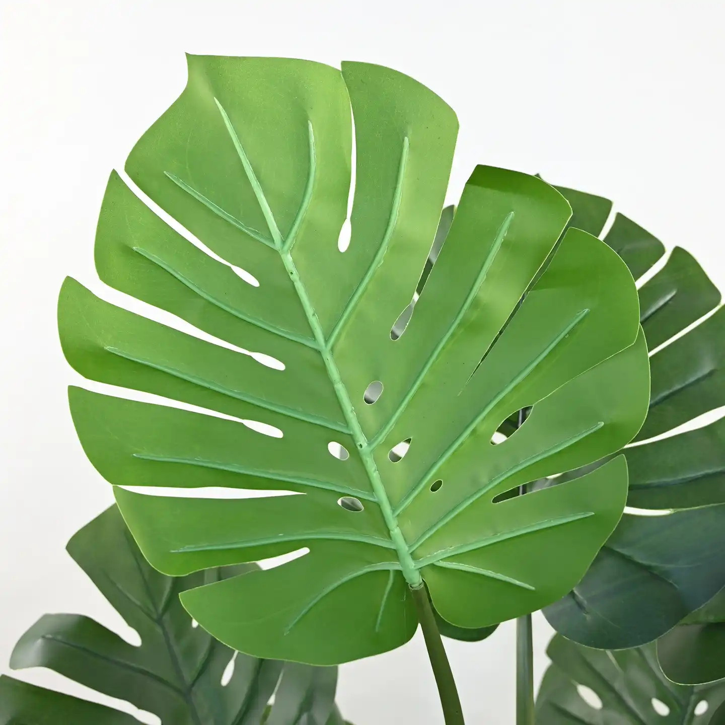 Artificial Turtle Back Leaf