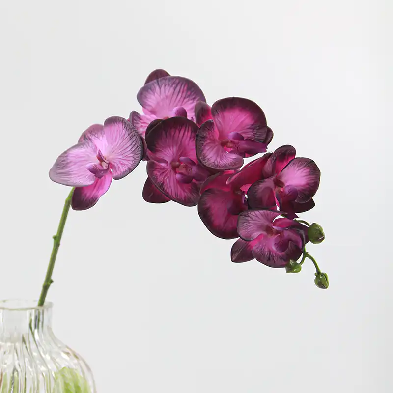 Real Touch Artificial Moth Orchid Real Touch Artificial Moth Orchid