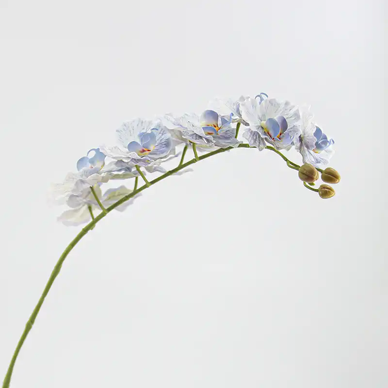 Real Touch Artificial Moth Orchid
