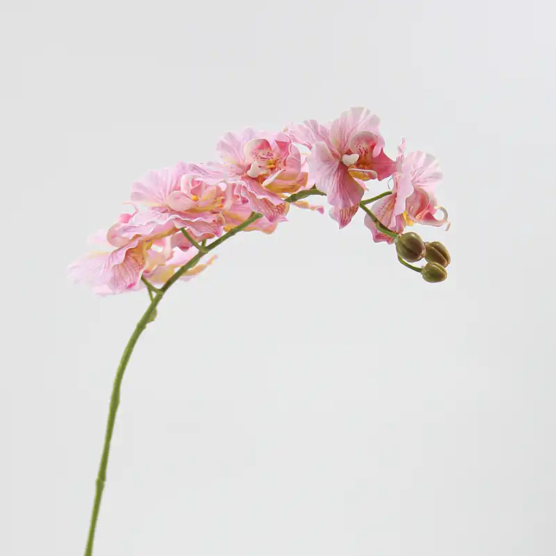 Artificial Moth Orchid Artificial Moth Orchid