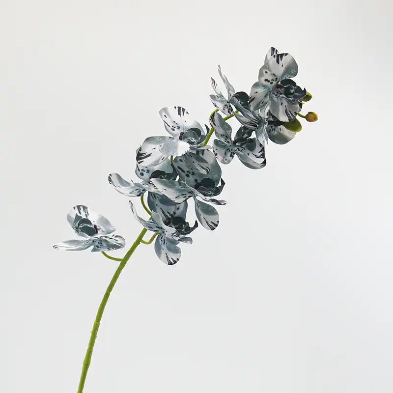 Artificial Moth Orchid
