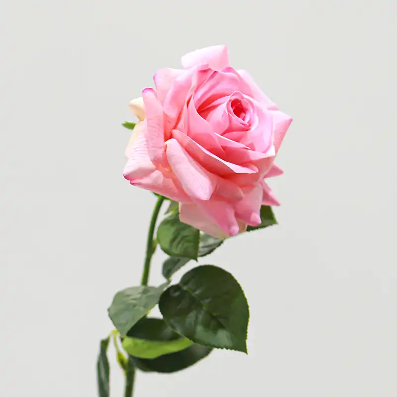 Real Touch Rose Real Touch Rose