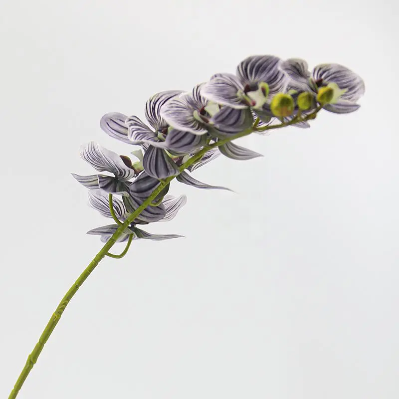 Real Touch Artificial Moth Orchid Real Touch Artificial Moth Orchid