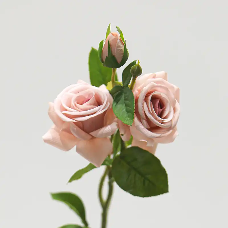 Real Touch Rose Real Touch Rose