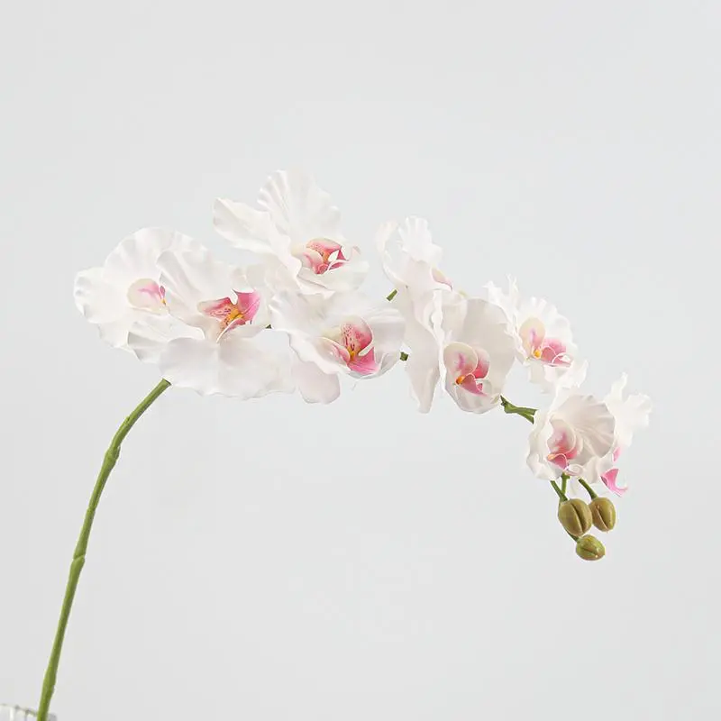 Real Touch Artificial Moth Orchid